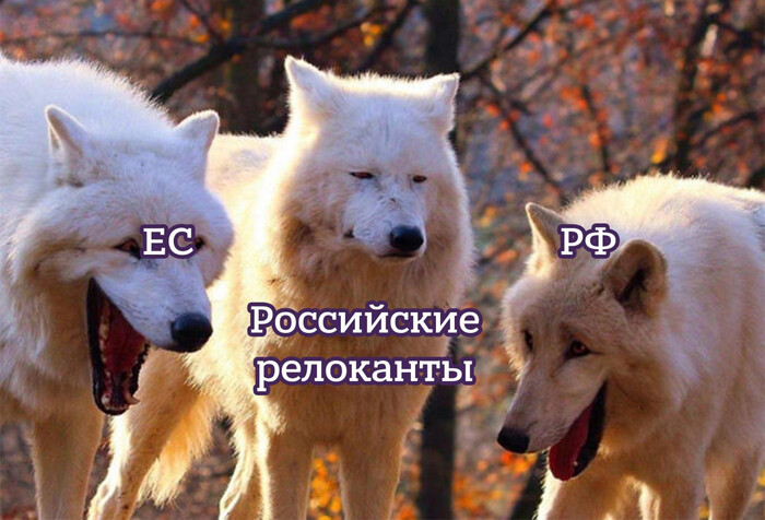 � �����, �������� � ������ ���������, ��� ������, ����� [���: <a href="https://pikabu.ru/story/openai_poteryal_kontrol_nad_svoey_novoy_modelyu_a_v_rf_prinyali_zakon_protiv_uekhavshikh_glavnoe_za_nedelyu_14187516?u=https%3A%2F%2Ft.me%2Flentachold%2F92699&t=%D0%9B%D0%B5%D0%BD%D1%82%D0%B0%D1%87&h=107a402bc6fc305acab87975f5a047e71006b6c2" title="https://t.me/lentachold/92699" target="_blank" rel="nofollow noopener">������</a>]&nbsp;