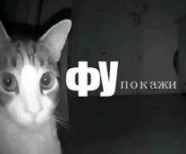 JFF
