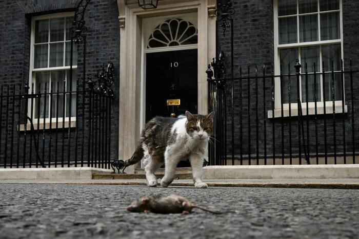 ����: Chris J Ratcliffe/Reuters