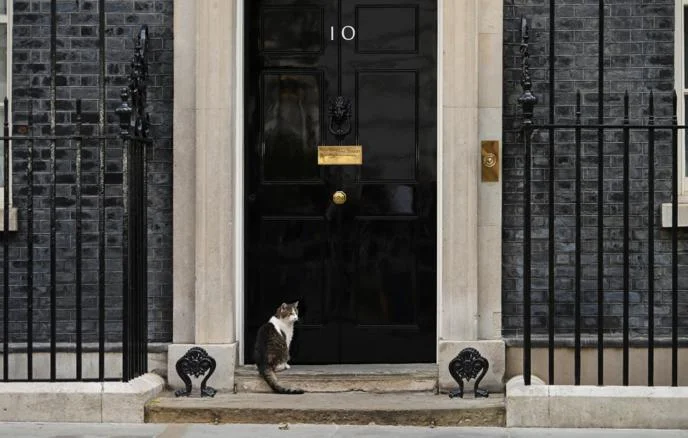 Larry is not to be trifled with. - Series Cats, cat, Larry, Great Britain, Downing Street, Prime Minister, Pets