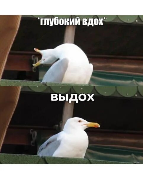 История про ребёнка на штырях напомнила один случай
