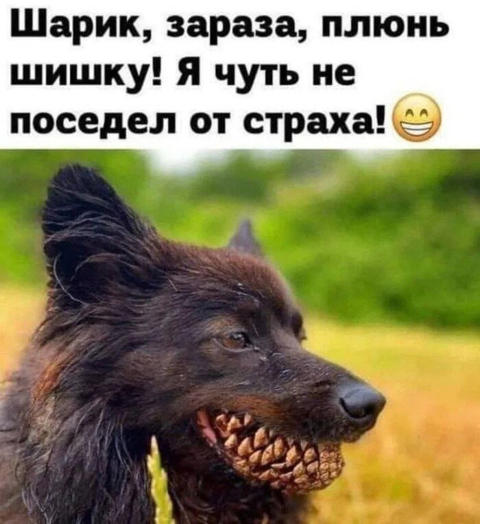 �������� �� ������� ����-������ �������