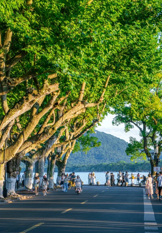 Everyone knows Shanghai. But why do Chinese people vacation in Suzhou and Hangzhou? - My, China, Travels, Asia, The culture, Personal experience, Shanghai, Suzhou, Hangzhou, Longpost, 
