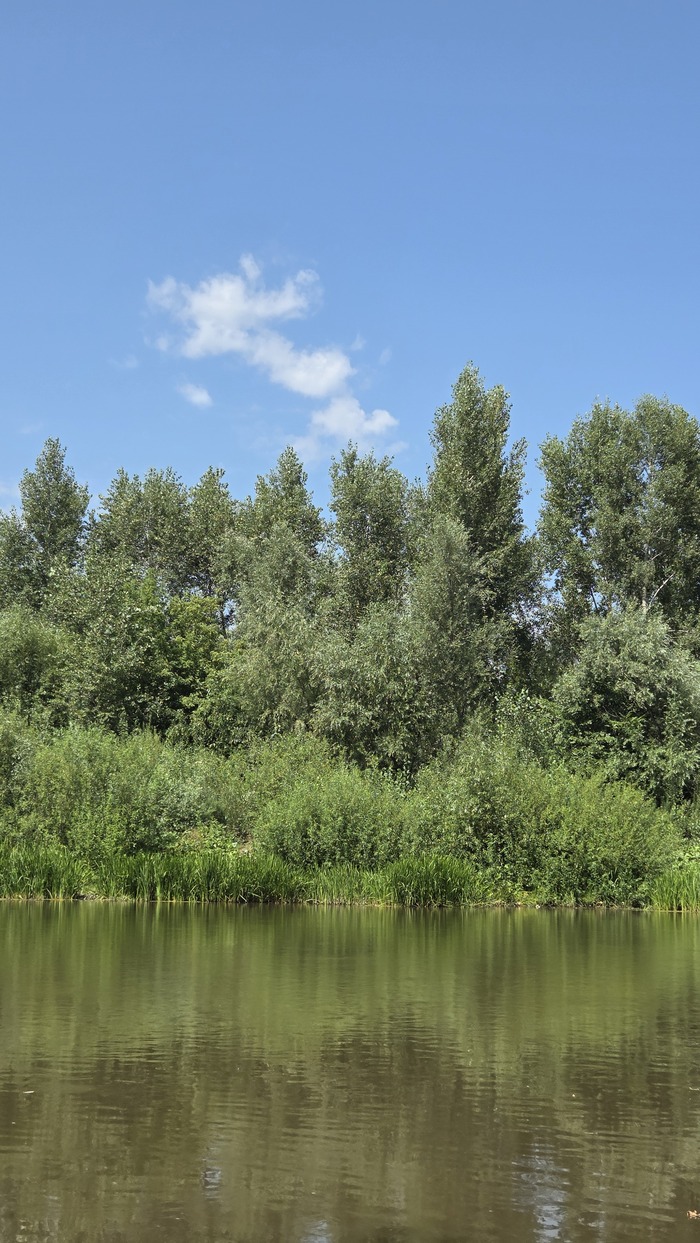 Релакс