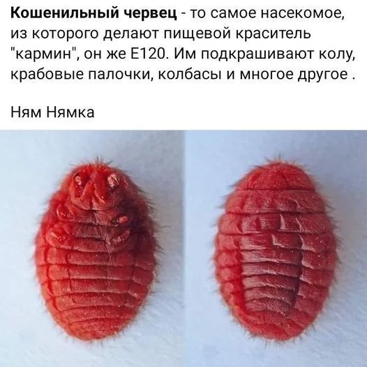 ��� ����� �������...