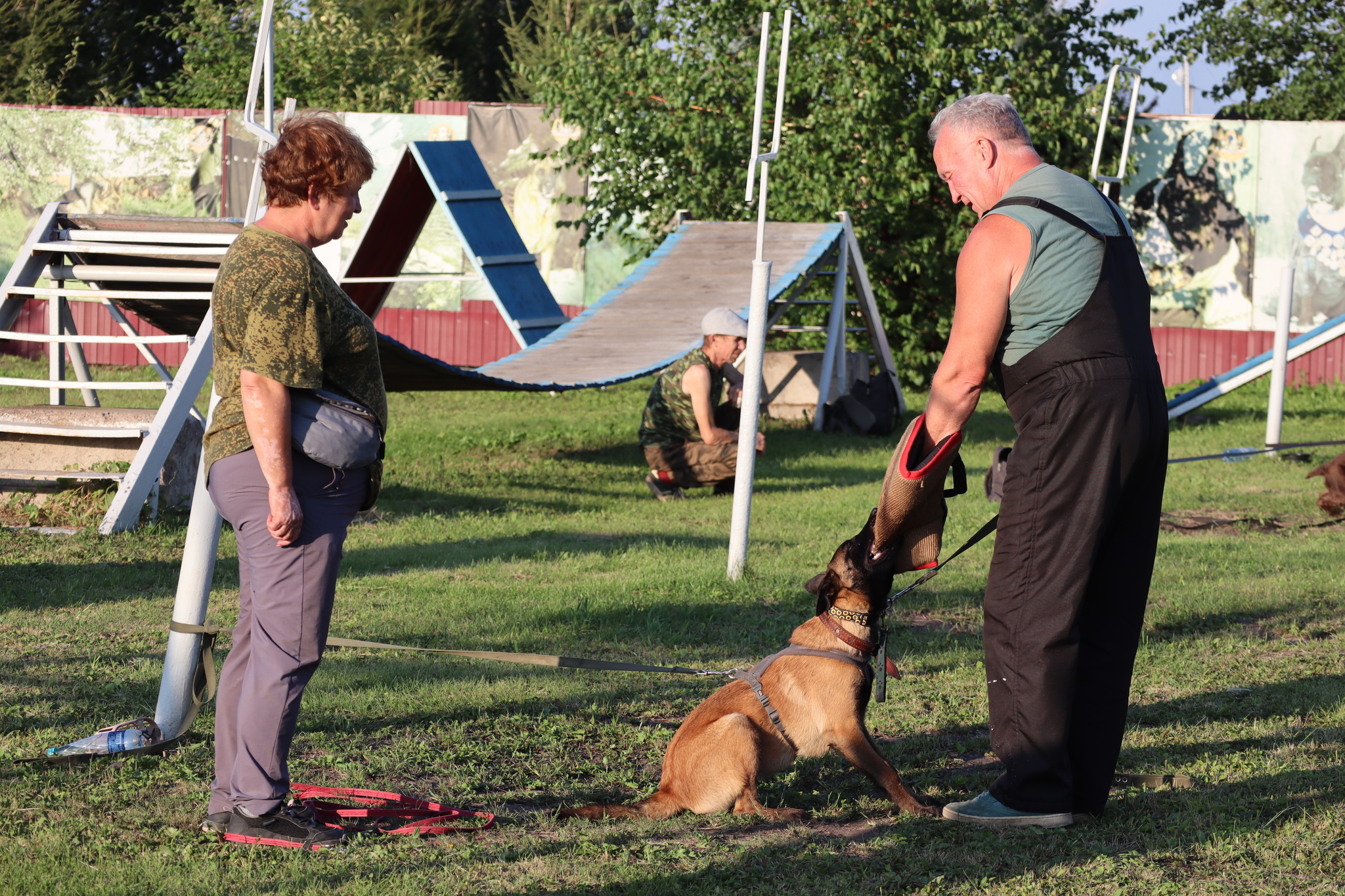 Dog training in Omsk - OCSSSS 07/29/2026 - Puppies, Friends, Omsk, Training, Г“Г±Г±Г±
