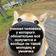Аватар пользователя HedinSuperStar