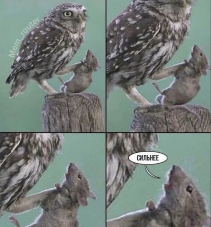 Ну же
