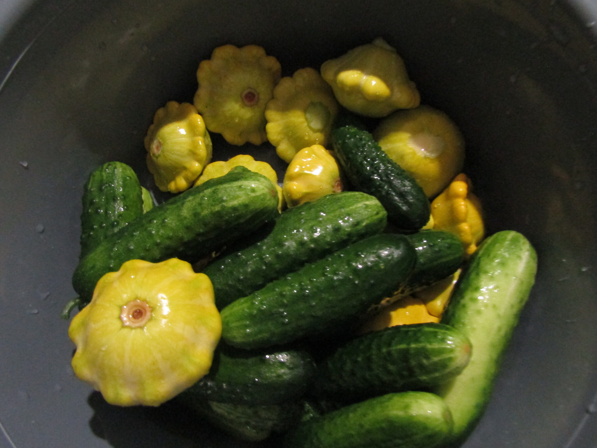 July assortment. Time to make preparations for the winter. - My, Garden, Harvest, Growing, Plant growing, Cucumbers, Squash, Vegetables