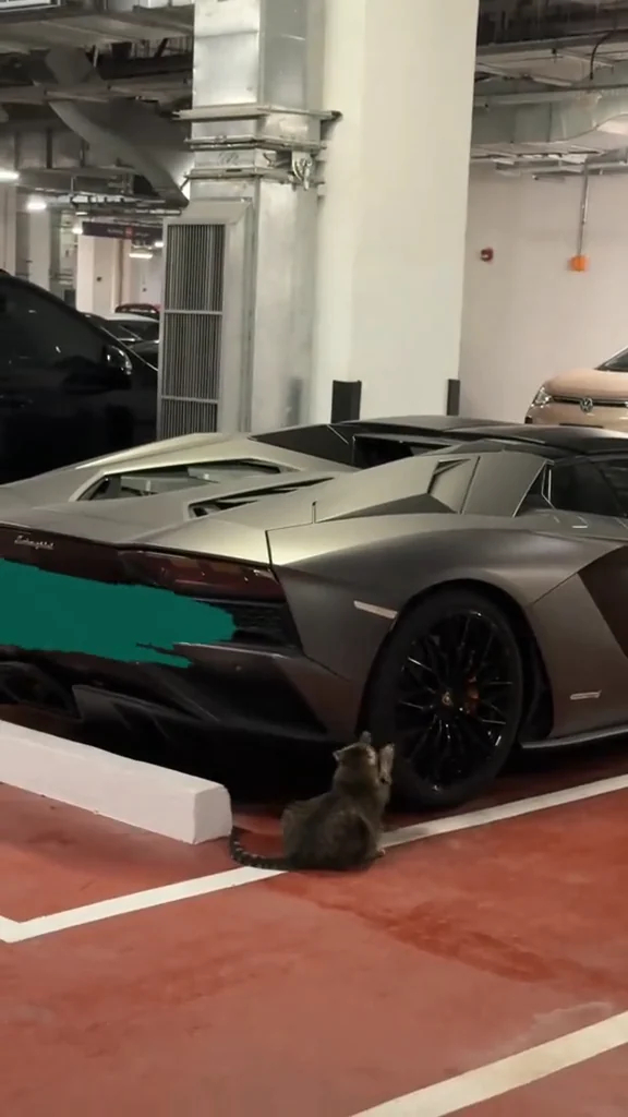 На текущий момент стоимость этой когтеточки, модели Lamborghini Aventador SVJ, составляет от $850 000 до $1 500 000 (примерно от 75 до 135 миллионов рублей по текущему курсу)
