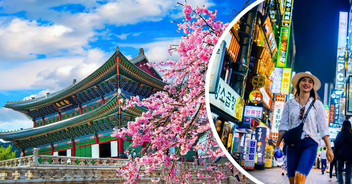 Japan or South Korea: Where should a tourist go in 2026? - China, Asia, Japan, South Korea, Telegram (link), Longpost