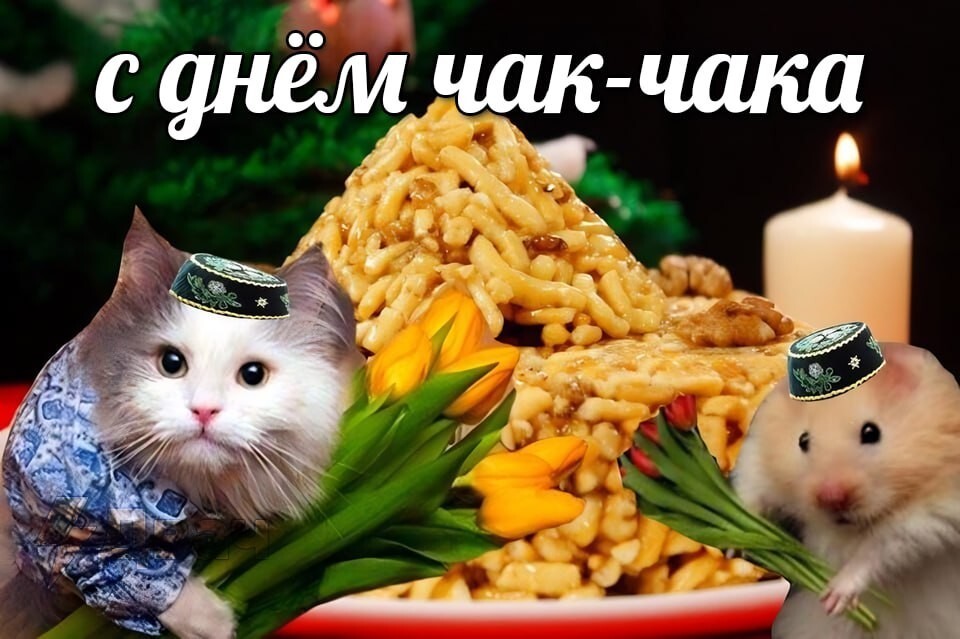 Post of selected, fierce classics 011 - Humor, Images, Longpost