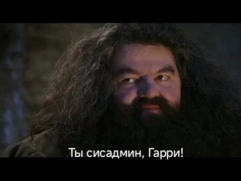 Happy holiday to everyone involved! - Harry Potter, Rangers, Sysadmin day, Rescuers, Professional holiday, Longpost