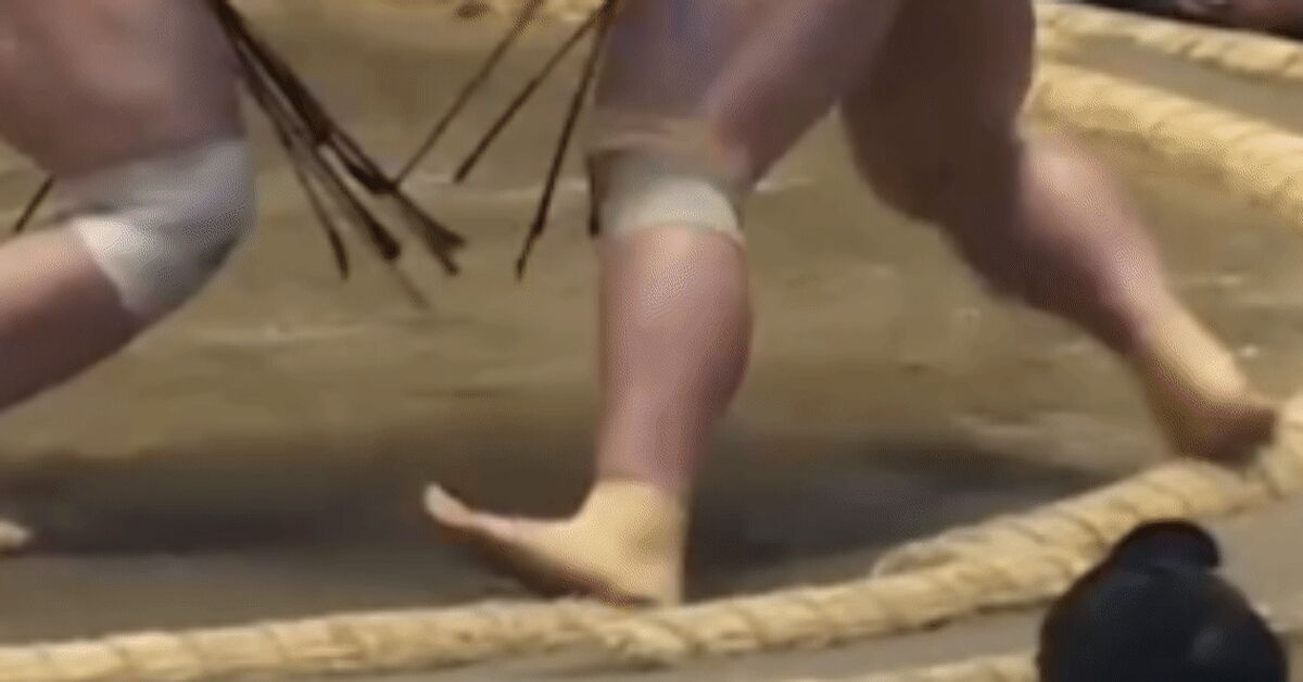Continuation of the post Injury: Kazakeno 3 - 3 Oshchoumi [their 7th match] - Series Sumo injuries, Injury, Sumo, Sumo wrestlers, Djyuro, July, 2026, Fight, Wrestlers, Athletes, Traumatism, Treatment, GIF, Reply to post