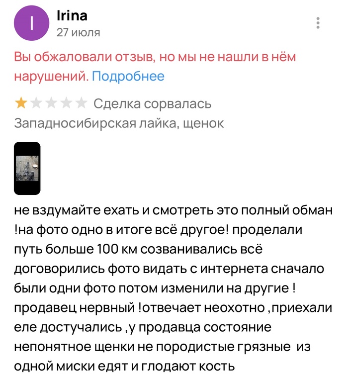 ������ ����� �� �������