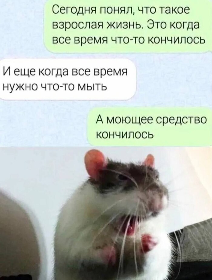 Взрослая жизнь