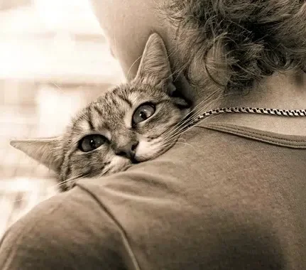 Evil and bad - Philosophy, Person, Dialog, Animals, Kindness, Bad people, Society, Fatigue, Emotional burnout, Good league, cat, Longpost