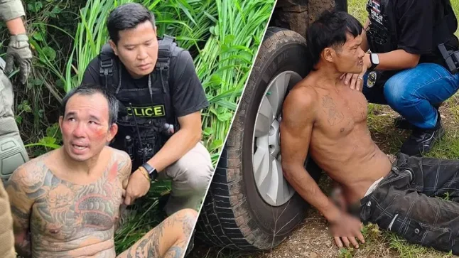 Details of the brutal murder of Russians revealed in Thailand - Series Crime, Crime, Thailand, Murder, Jurisprudence, Criminals, Negative