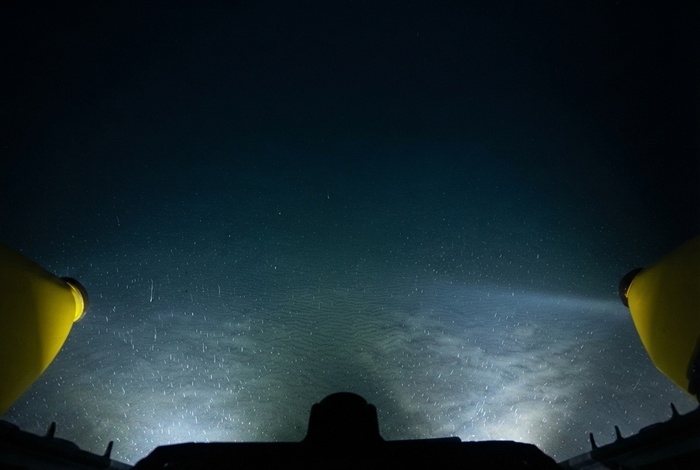 Слой сероводорода / © Aquatica Submarines