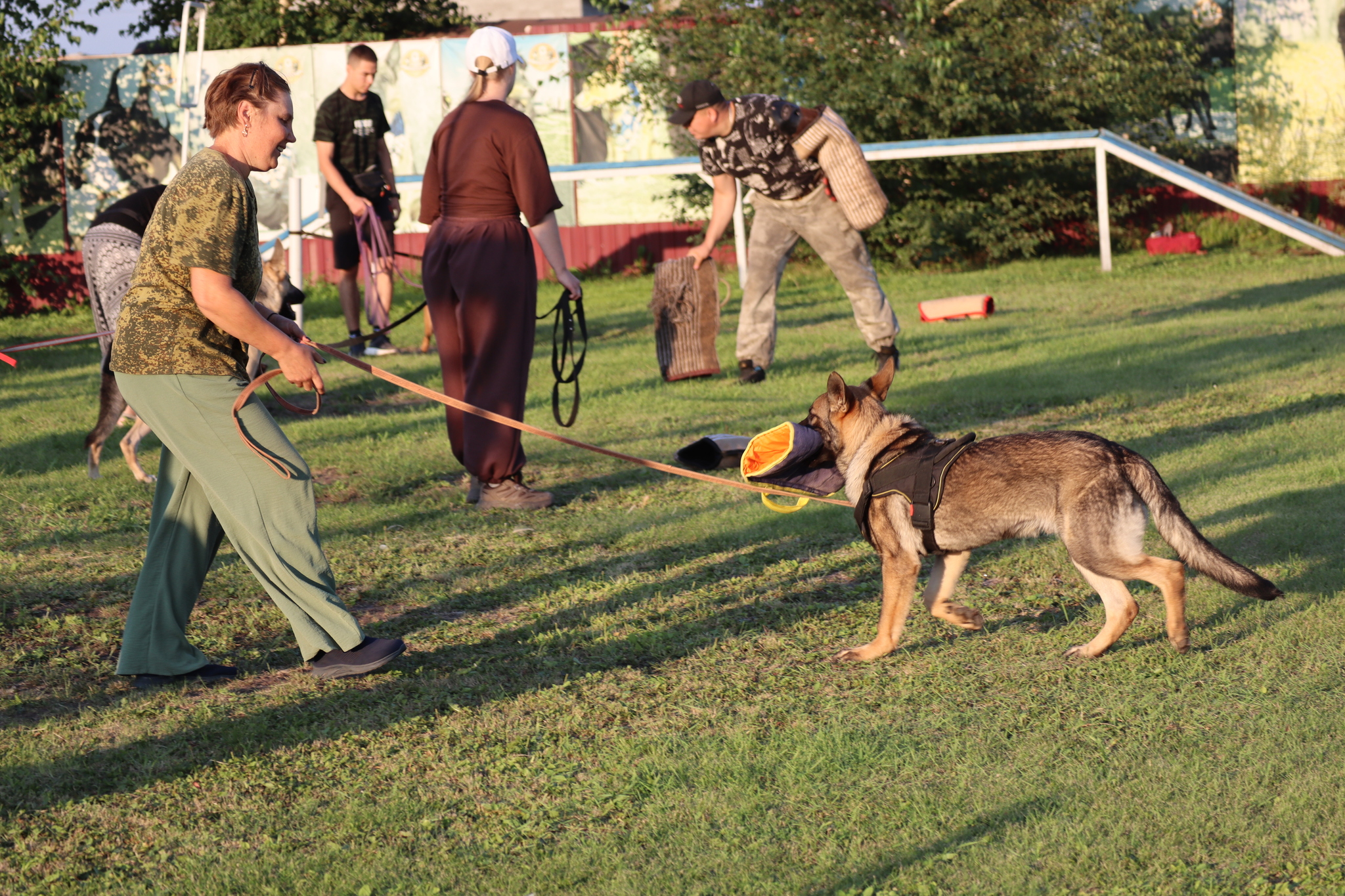 Dog training in Omsk - OCSSSS 07/29/2026 - Puppies, Friends, Omsk, Training, Г“Г±Г±Г±