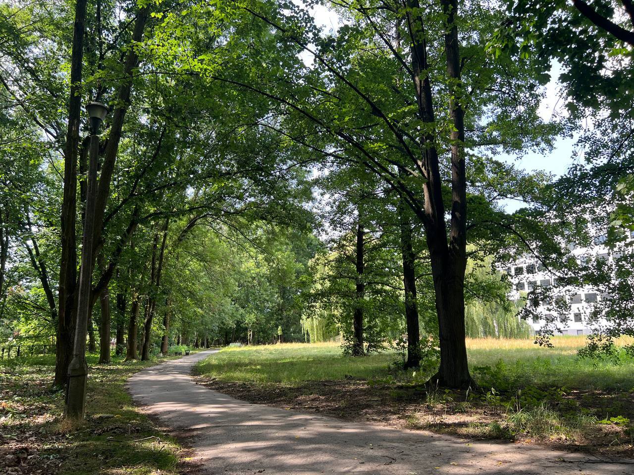 How I had my appendix removed in Poland - My, Life stories, Hospital, Disease, Poland, Living abroad, Appendicitis, Disease history, The patients, Polyclinic, Longpost