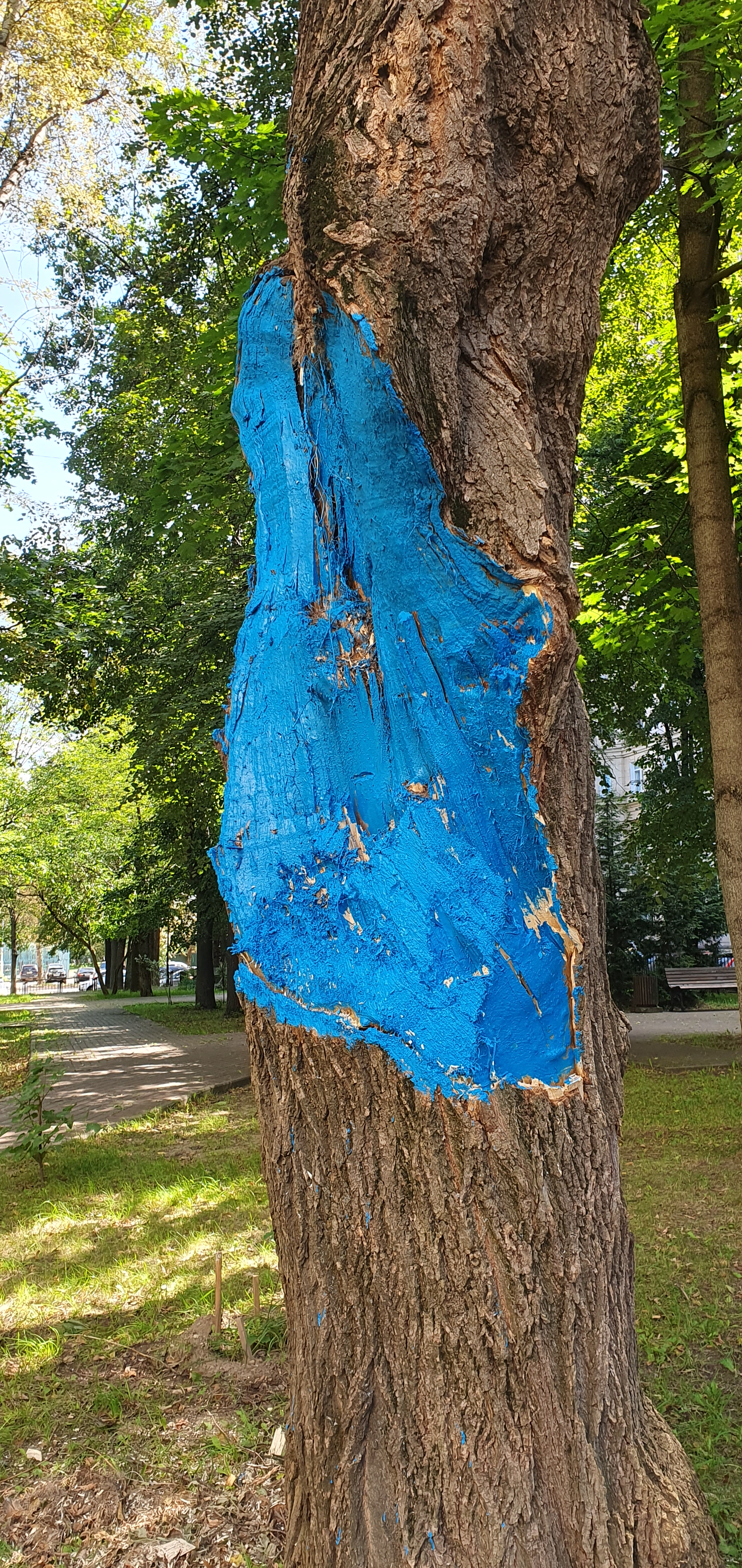 Creative Housing Manager - My, Survey, Housing and communal services, GBU Zhizhnik, Officials, Moscow, Tree, Longpost