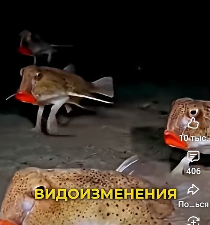 Красить губы