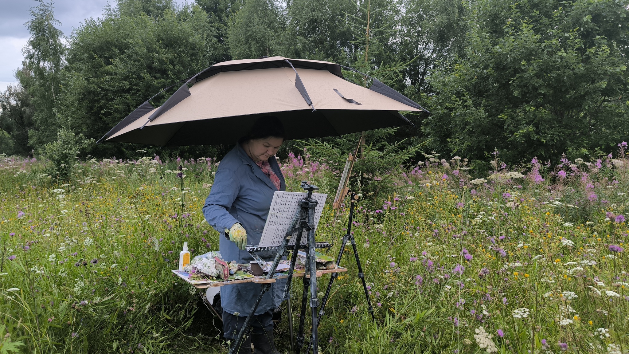 The long-awaited plein air - Series My plein airs, My, Painting, Village, Canvas, Oil painting, July, Grass, Longpost