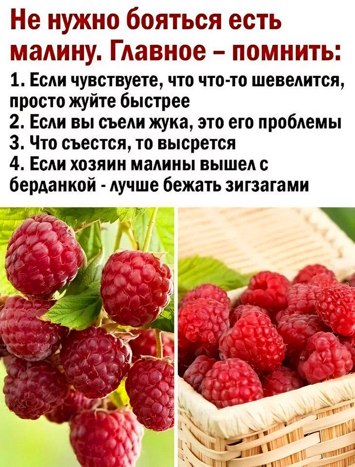 Raspberry - Picture with text, Humor, Raspberries, Instructions, Repeat