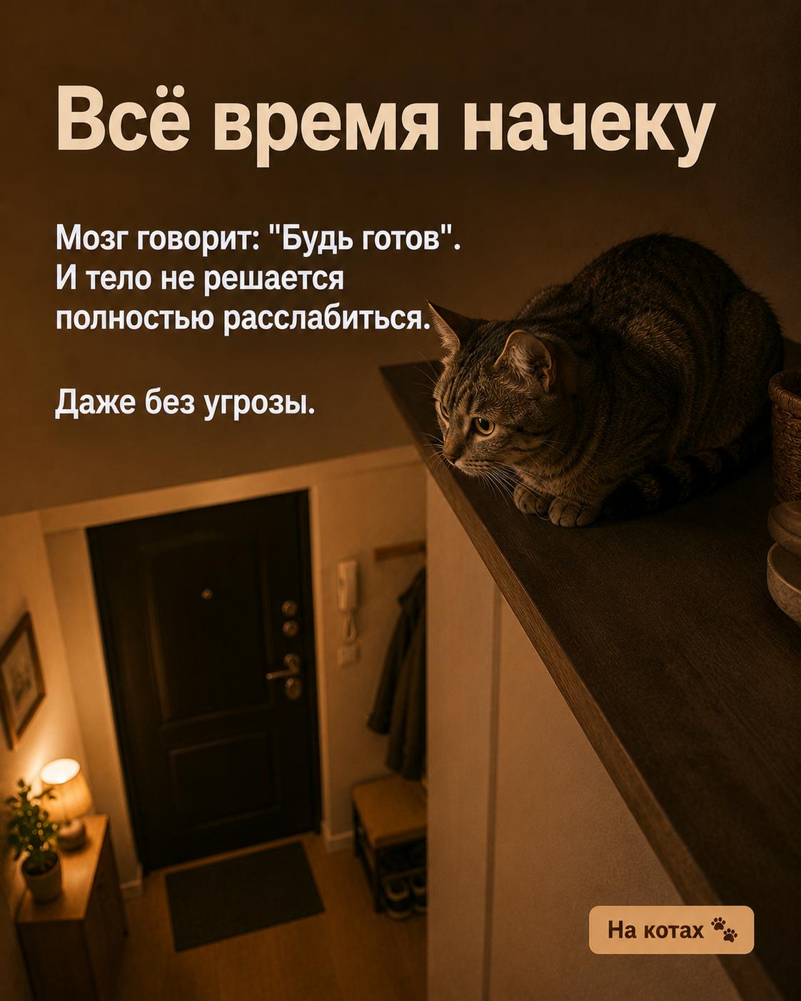 Are you tired? - Neural Network Content, Picture with text, Memes, Milota, Images, Psychology