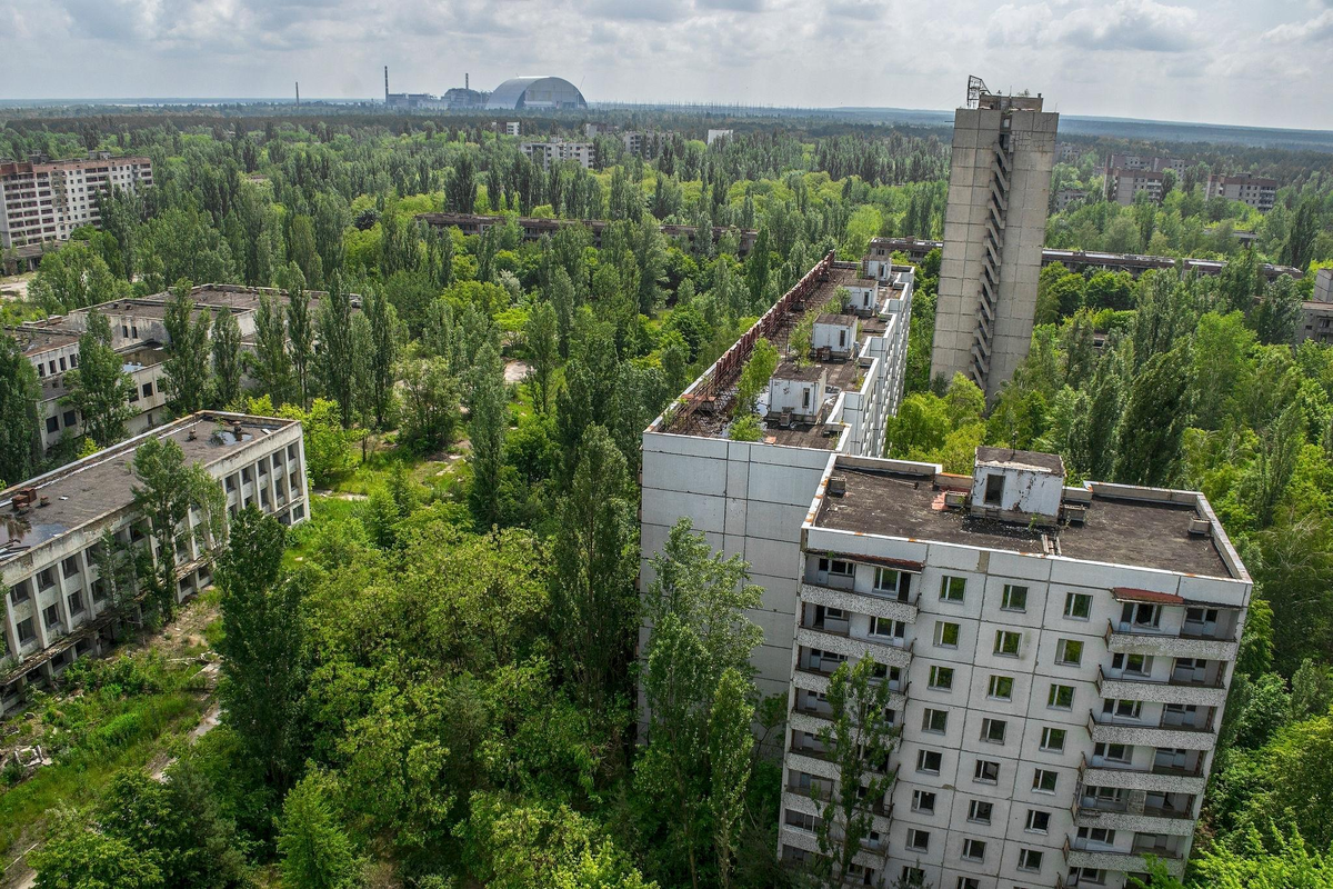 What's being found in the Chernobyl zone 40 years later: facts that are difficult to explain - My, Land, Biology, Nauchpop, History (science), Research, Evolution, Scientists, История России, Civilization, Education, Myths, The science, Ancient artifacts, Paleontology, Legend, Chernobyl, Facts, Planet, Longpost