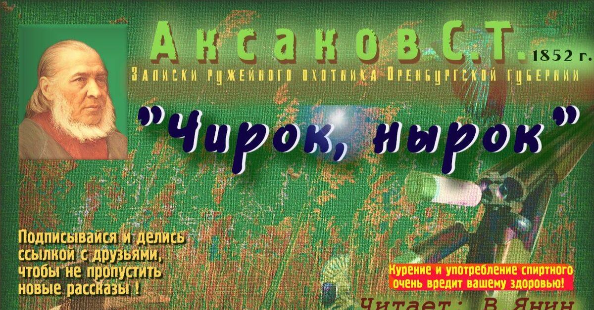Sergei Timofeevich Aksakov, Notes of a Gun Hunter of the Orenburg Province, No. 14 - Series Aksakov ST, My, Audiobooks, Classic, What to read?, Literature, Hunting, Hunting and fishing, Duck hunting, Writers, Russian literature, Book Review, Excerpt from a book, Video, Rutube