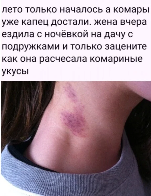 Beasts in general) - Humor, Vital, Expectation and reality, Picture with text, Girls, Dialog