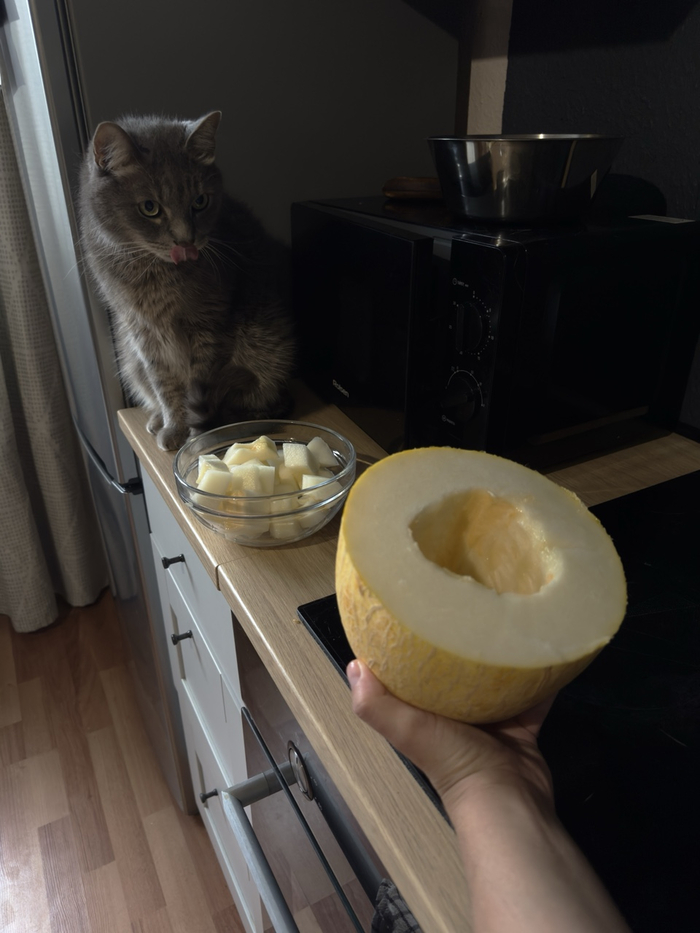 Сегодня была самая вкусная дыня сезона