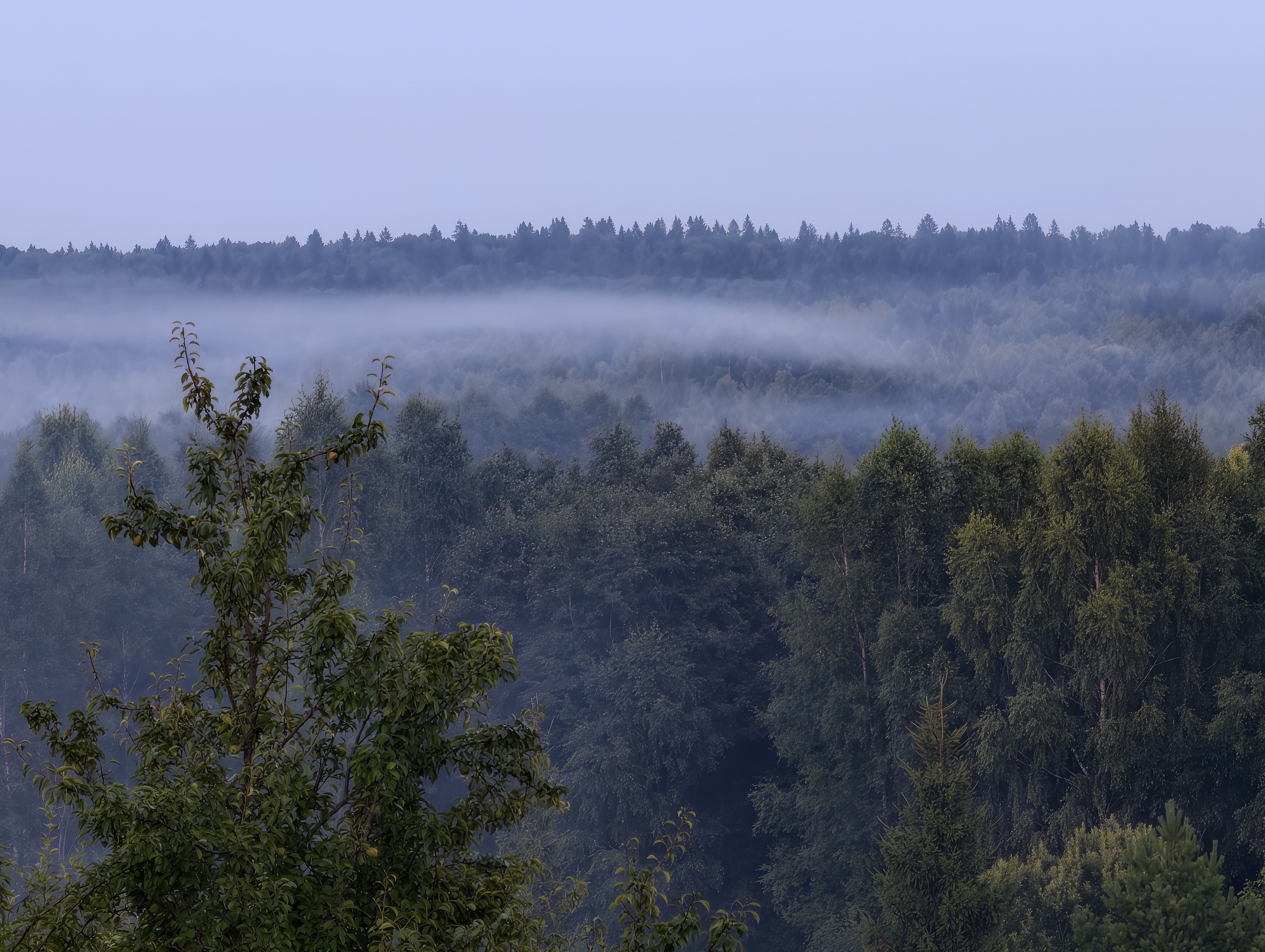 Fire photos - My, Fire, Mobile photography, The photo, beauty, Nature, Fog, Beautiful view, Forest, Hot coals, Longpost