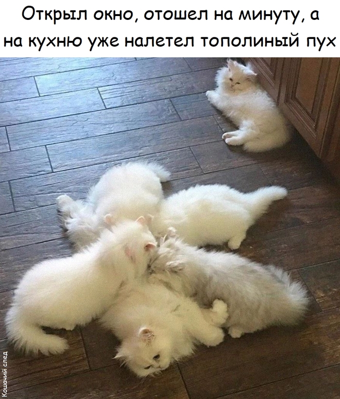 Жара июль
