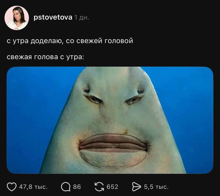 Когда включила фронтальную камеру случайно