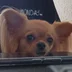 user11520950