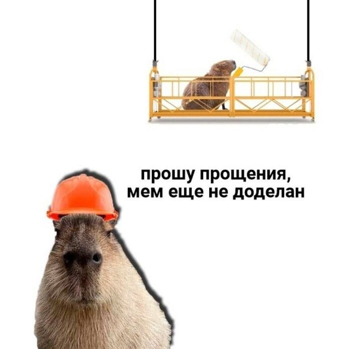 �� �����, ������ �������