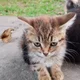 ����� ����� ������ ���� �����������