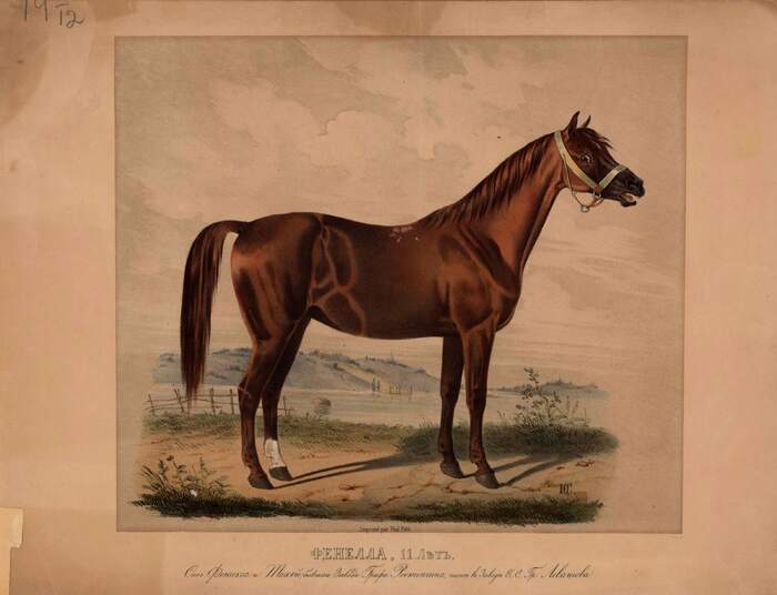 ������� �� ������� � ����� 1836 �. �.