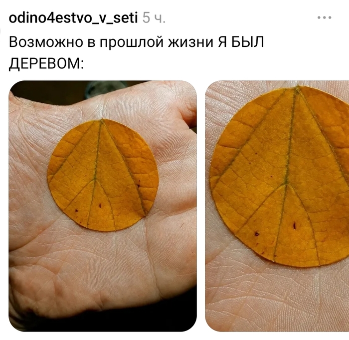 ��� ��� ��������� ��������