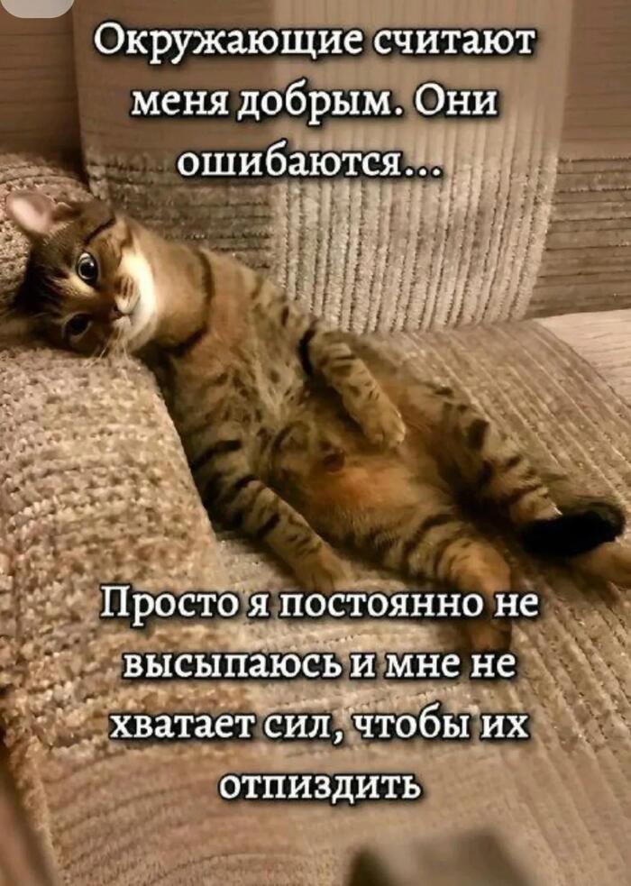 Отдыхай