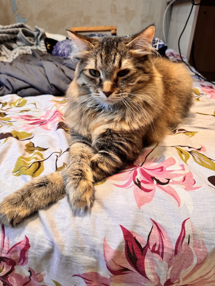 Королевская поза