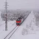 ����� ����� ������ ���� �����������