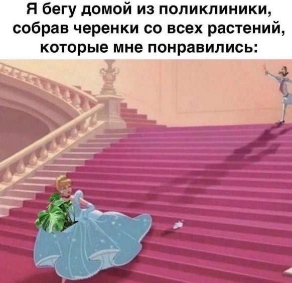 �������))