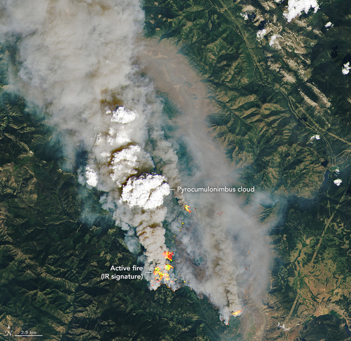�����: NASA ��������: <a href="https://pikabu.ru/story/kak_lesnoy_pozhar_sozdayot_grozu_i_podzhigaet_novyie_territorii_molniyami_14219283?u=https%3A%2F%2Fcommons.wikimedia.org%2Fwiki%2FFile%3ABcfires_oli_2021181.jpg&t=commons.wikimedia.org&h=3f74151d7ff8ac8111e9c4f9993755b5f7d8b717" title="https://commons.wikimedia.org/wiki/File:Bcfires_oli_2021181.jpg" target="_blank" rel="nofollow noopener">commons.wikimedia.org</a>