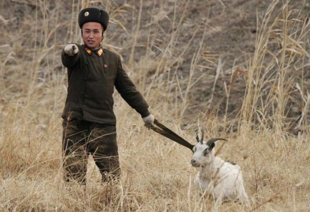 снимок был сделан фотокорреспондентом агентства Reuters 5 июля 2009 года на берегу реки Ялу в районе северокорейского города Синыйджу. Данная река разделяет территории Северной Кореи и Китая.
