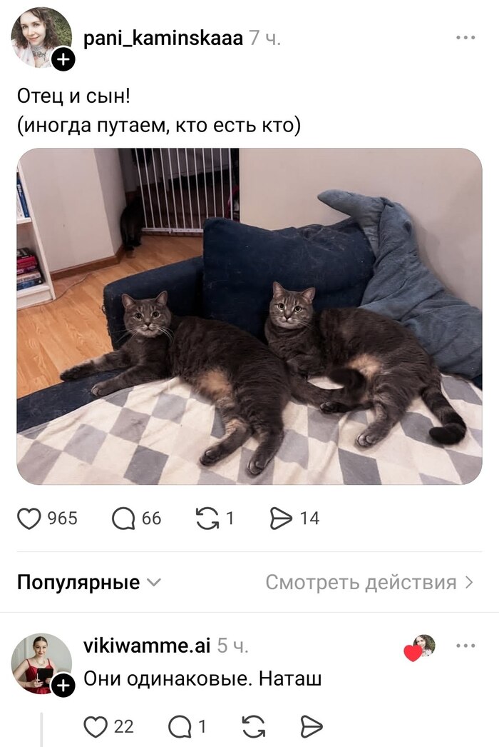 ��� ���, � ��� ����? ������� ������!