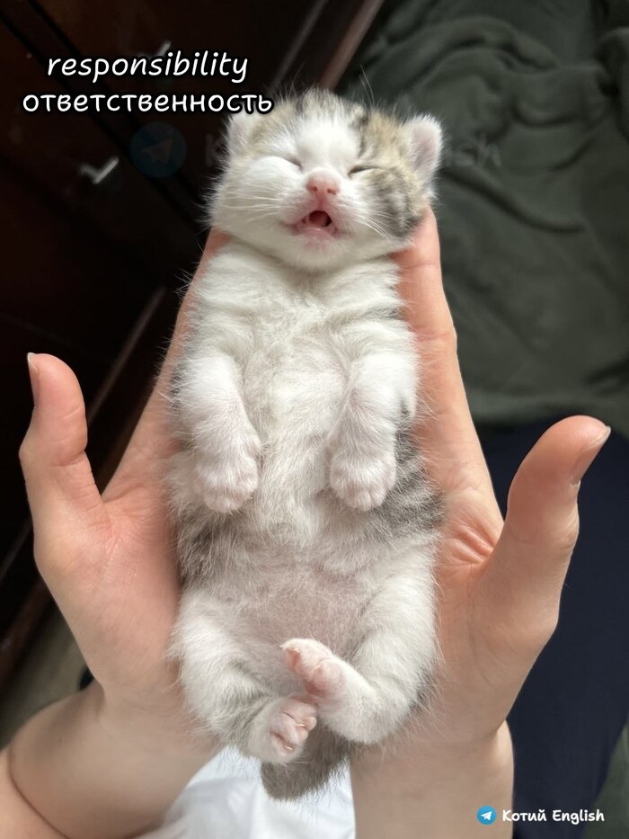 ������� �� �����